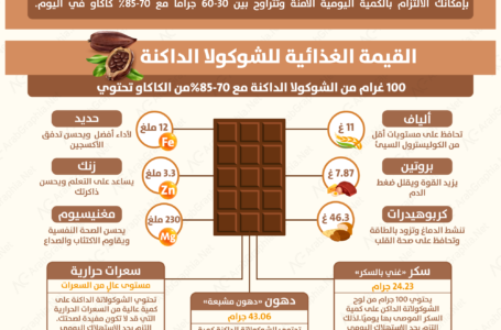 انفوجرافيك | الفوائد الصحية والقيمة الغذائية للشوكولاتة الداكنة