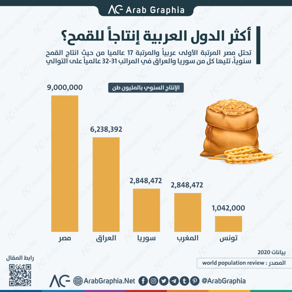 انفوجرافيك أكثر الدول العربية إنتاجاً للقمح